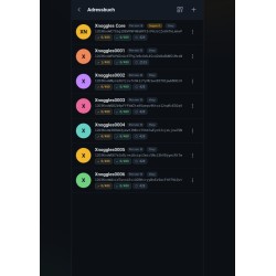Xnoggles P2P Messenger